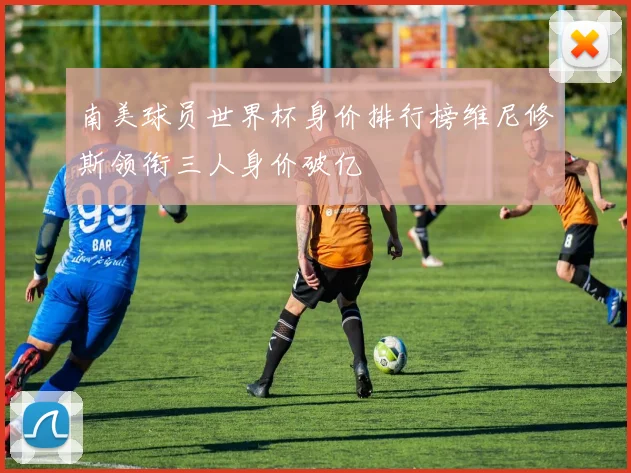 南美球员世界杯身价排行榜维尼修斯领衔三人身价破亿