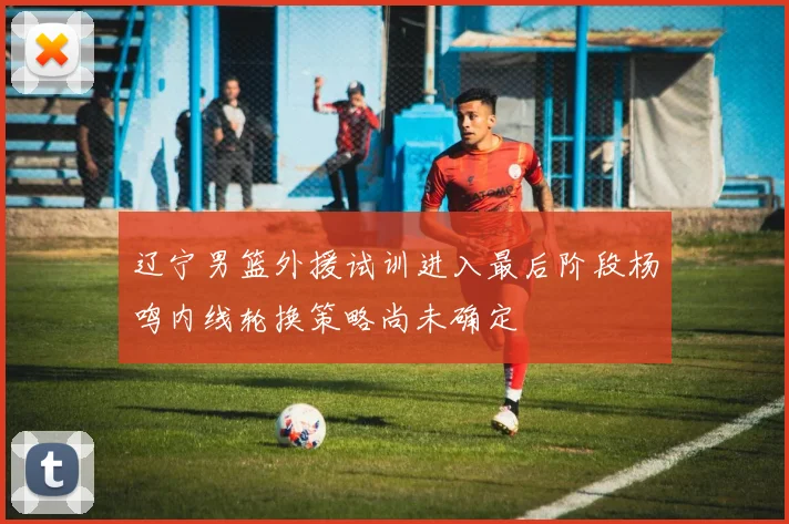 辽宁男篮外援试训进入最后阶段杨鸣内线轮换策略尚未确定