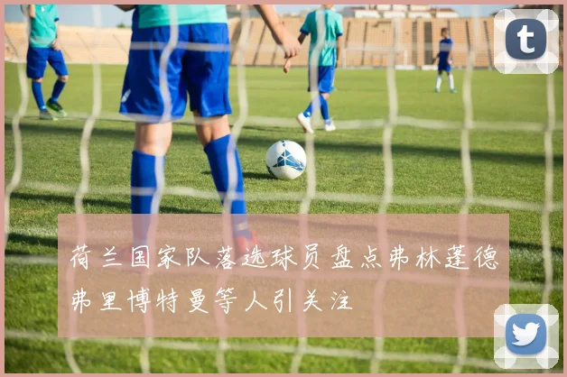 荷兰国家队落选球员盘点弗林蓬德弗里博特曼等人引关注