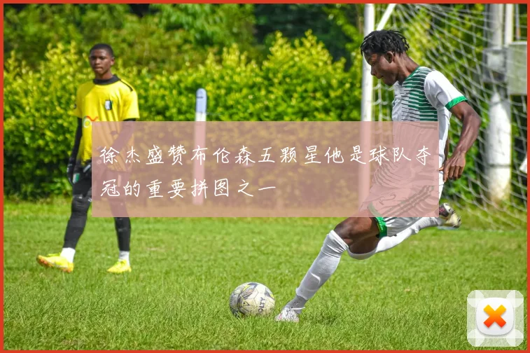 徐杰盛赞布伦森五颗星他是球队夺冠的重要拼图之一